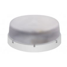Светильник ERKA 1065, настенный, 26W, круглый, прозрачный, E27, IP65, Сервис