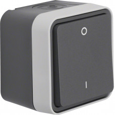 Выключатель 2-полюсный 0-I, IP55, серый, 10АX/250В W.1, Гарантия