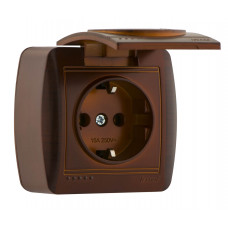 Розетка с заземлением с крышкой LEZARD Demet античный кедр