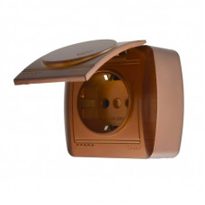 Розетка с заземлением с крышкой LEZARD Demet античный махагон