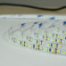 Светодиодная лента BIOM Professional BPS-G3-24-2835-120-NW-20 нейтральный белый, негерметичная, 1м, Качество